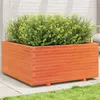 Image de Jardinière cire marron 100x100x49,5 cm bois de pin massif