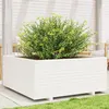 Image de Jardinière blanc 110x110x49,5 cm bois de pin massif