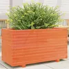Image de Jardinière cire marron 90x40x49,5 cm bois de pin massif
