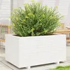 Image de vidaXL Jardinière blanc 90x60x49,5 cm bois de pin massif, jardinière d'extérieur, bac à fleurs, bac à tomates, jardinière de 3282565