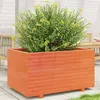 Image de Jardinière cire marron 90x60x49,5 cm bois de pin massif