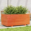 Image de Jardinière cire marron 110x60x49,5 cm bois de pin massif