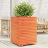 Image de Jardinière cire marron 50x50x72 cm bois de pin massif