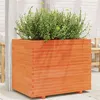 Image de Jardinière cire marron 90x60x72 cm bois de pin massif