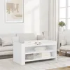 Image de vidaXL Table basse blanc 100x50x50 cm bois d'ingénierie, table latérale, table de salon, table d'accent, bout de canapé, 848346
