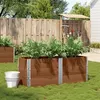 Image de Jardinière marron 150x50 cm bois massif de pin