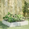 Image de Lit surélevé de jardin blanc 100x100x33,5 cm acier