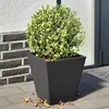 Image de vidaXL Jardinières 2 pcs noir 30x30x30 cm acier, jardinière d'extérieur, boîte à fleurs, boîte de jardin, jardinière de 851039