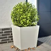 Image de vidaXL Jardinières 2 pcs blanc 50x50x50 cm acier, jardinière d'extérieur, boîte à fleurs, boîte de jardin, jardinière de 851069