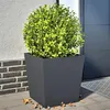 Image de vidaXL Jardinières 2 pcs anthracite 50x50x50 cm acier, jardinière d'extérieur, boîte à fleurs, boîte de jardin, jardinière 851071