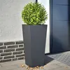 Image de vidaXL Jardinières 2 pcs anthracite 35x35x75 cm acier, jardinière d'extérieur, boîte à fleurs, boîte de jardin, jardinière 851085