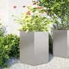 Image de vidaXL Jardinières 2 pcs hexagone 46x40x45 cm acier inoxydable, jardinière de fleurs, jardinière de patio, jardinière de 851117