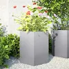 Image de Jardinières 2 pcs hexagone 46x40x45 cm acier galvanisé