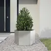Image de Jardinière hexagone 69x60x45 cm acier inoxydable