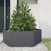 Image de vidaXL Jardinière anthracite hexagone 138x120x45 cm acier, jardinière de fleurs, jardinière de patio, jardinière de jardin, 851138
