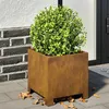 Image de vidaXL Jardinières 2 pcs 30x30x30 cm acier corten, planteur, jardinière de patio, bac à fleurs, jardinière d'extérieur, 851198