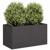 Image de Jardinière noir 80x40x40 cm acier laminé à froid