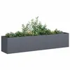 Image de Jardinière anthracite 200x40x40 cm acier laminé à froid