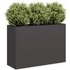 Image de Jardinière noir 120x40x80 cm acier laminé à froid