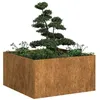 Image de Jardinière rouillé 80x80x40 cm acier inoxydable