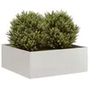 Image de vidaXL Jardinière 80x80x30 cm acier inoxydable 860805