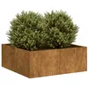 Image de Jardinière rouillé 80x80x30 cm acier inoxydable