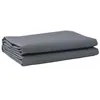 Image de vidaXL Tissu de remplacement pour auvent Anthracite 10x1.6 m 42000816