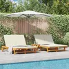 Image de Chaise longue double avec des roulettes et un coussin en bois d acacia massif