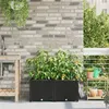 Image de Jardinières avec Système d Irrigation 2 pcs Noir