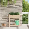 Image de Jardinière avec étagères 111x37x76 cm en bois massif de sapin