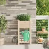 Image de Jardinière avec étagère 45x45x76 cm en bois massif de sapin