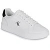 Image de Baskets basses Calvin Klein Jeans  CLASSIC CUPSOLE LACEUP LTH M66929245