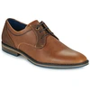 Image de Derbies Bullboxer  - P31759495