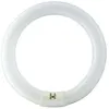 Image de Philips G10Q CIRCLINE 22w 6500K -865: Cuisine & Maison