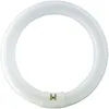 Image de Philips - G10Q Circline 32W 6500K /865 [Classe énergétique A]