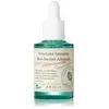 Image de Axis-Y 6+1+1 Artichoke Intensive Skin Barrier Ampoule Ampoules 1000 ml