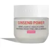 Image de Erborian Ginseng Power Crème Lissante Ridules & Rides 50 ml