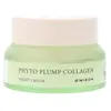 Image de Mizon Phyto Plump Collagen Night Cream Crème visage 1000 ml
