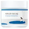 Image de ROUND LAB Birch Juice Moisturizing Cream Crème visage 1000 ml