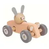 Image de PLANLIFESTYLE - BUNNY RACING CAR