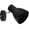 Image de Spot plafond Davy industriel noir E27 20W Paulmann