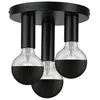 Image de Plafonnier Paulmann Skogen noir métal 3xE27 24cm 230V
