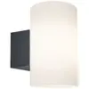Image de Applique extérieure anthracite IP54 E27 15W Paulmann