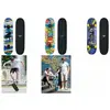 Image de Schildkrot Slider Cool King