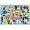Image de Schmidt spiele Puzzle chiots 200 pièces