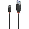 Image de LINDY USB 3.1 (Gen 2) Câble de raccordement [1x USB 3.1 mâle A  - 1x USB-C  mâle] 1.5 m noir