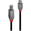 Image de Lindy Câble USB 36943