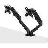 Image de Lindy Dual Mount Desktop Gasfederarm - noir (40708)