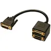 Image de Lindy DVI Splitter Cable DVI cable