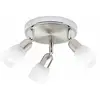 Image de Brilliant Sofia - Acier Chrome